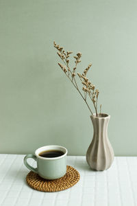 Potted plant on table against white background