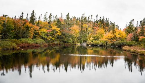 Scenic view of lake by trees during autumn against sky