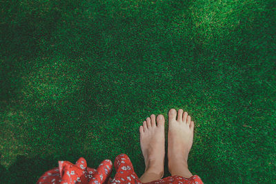 Low section of woman legs against plants