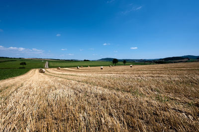 The wheat harvest is over