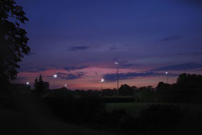 Scenic view of trees against sky at night