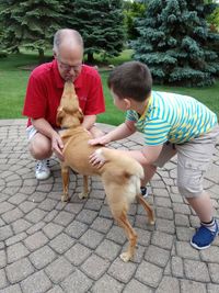 Cute boy and grandfather playing with dog on footpath in park