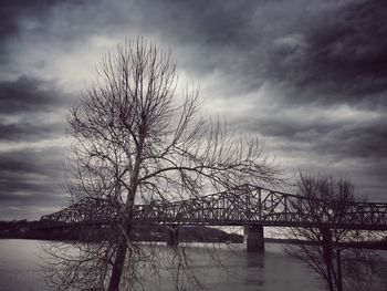Bare tree by lake against sky