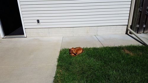 View of built structure