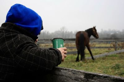 Man holding disposable cup by ranch against horse