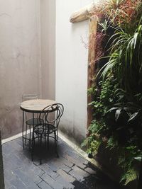 Potted plants on table by wall of house