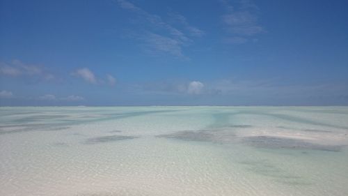 Scenic view of beach against blue sky