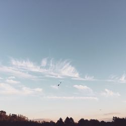 Low angle view of silhouette bird flying against sky