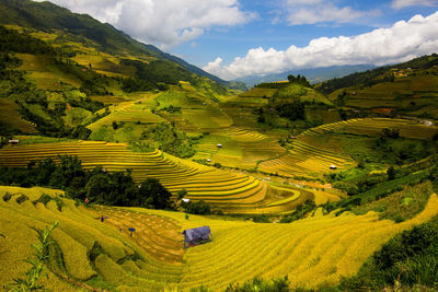 Aerial view of terraced field against cloudy sky