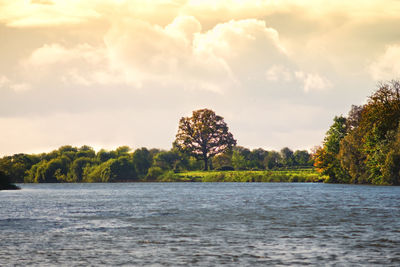 Scenic view of lake and trees against sky