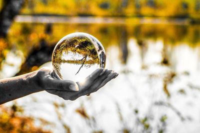 Close-up of hand holding glass with reflection of trees