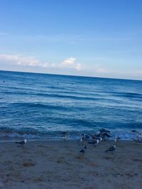 Scenic view of sea against sky