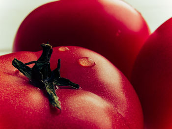 Close-up of insect on red finger