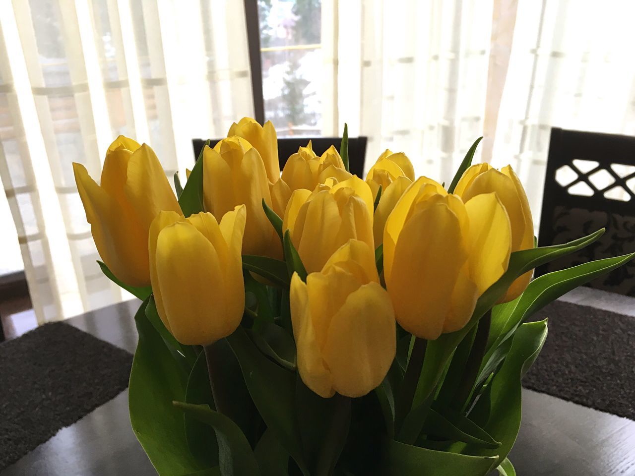 yellow, window, indoors, flower, close-up, fragility, home interior, nature, freshness, flower head, no people, day, beauty in nature