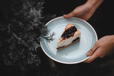 Midsection of person holding ice cream in plate