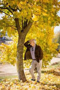 Rear view of woman standing on tree