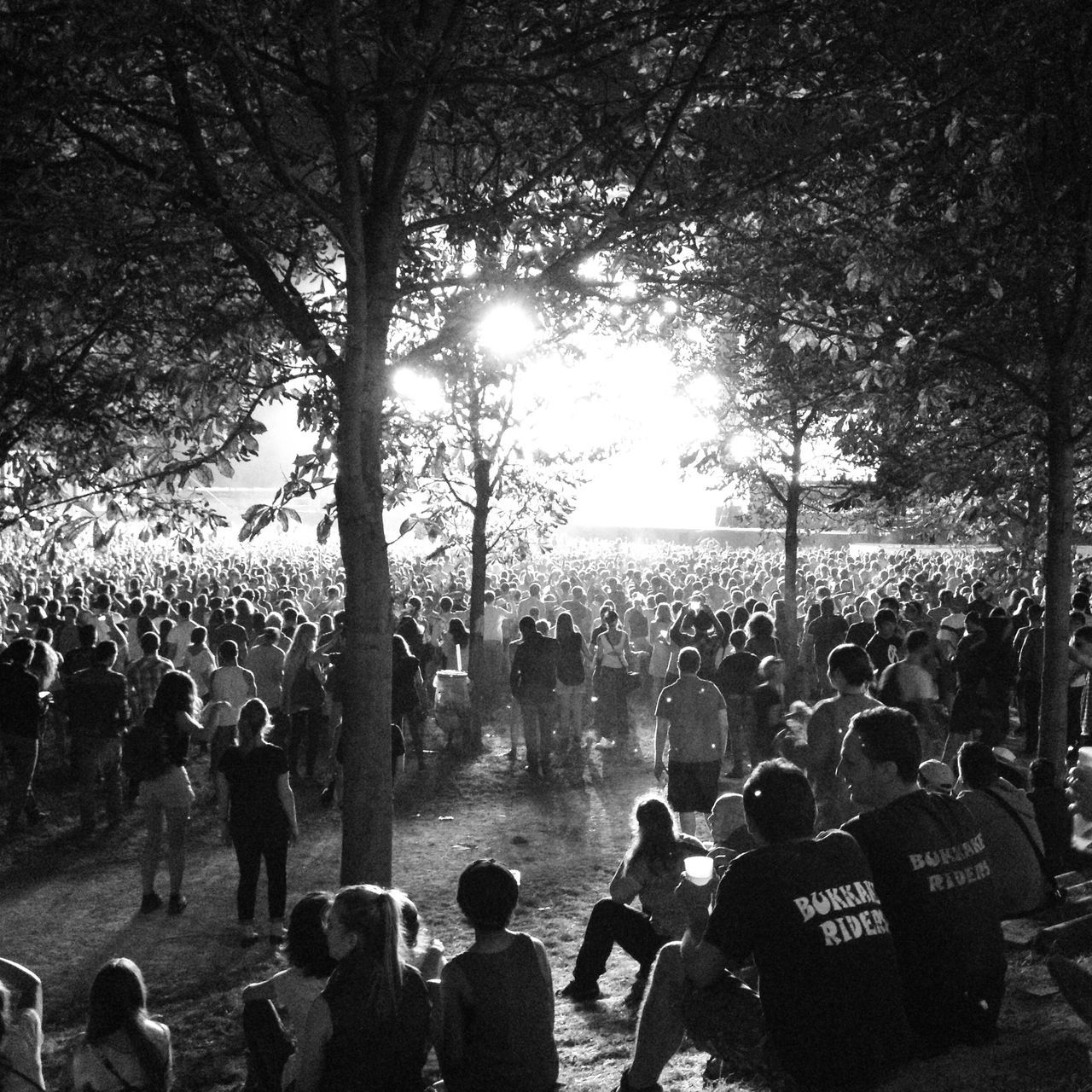 Rock en Seine