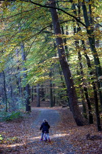 Rear view of man walking on road