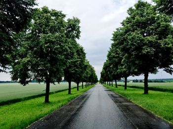 Road amidst trees against sky