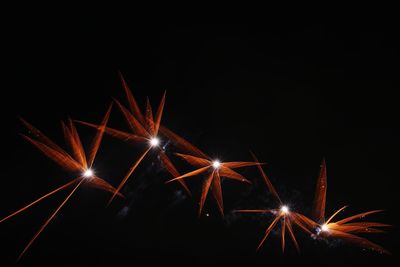 Low angle view of firework display at night