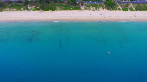 High angle view of jellyfish swimming in sea