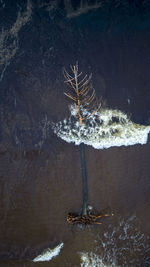 Directly above view of driftwood in sea