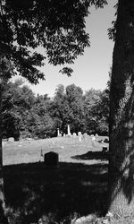 Trees growing in cemetery against sky