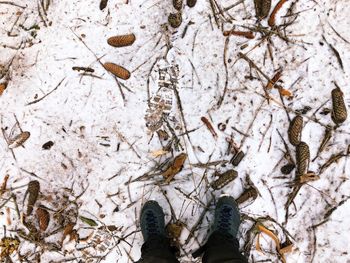 Low section of person standing on snow
