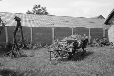 Woman standing on lawn