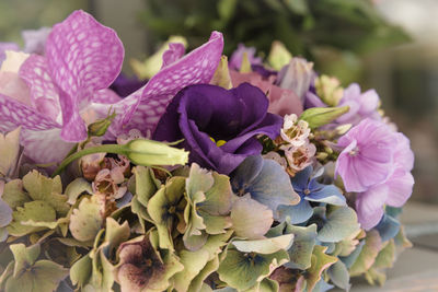 Close-up of purple flowers blooming outdoors