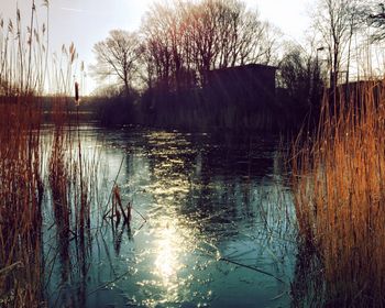 Scenic view of lake at sunset