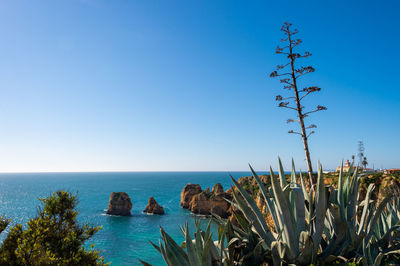 Scenic view of sea against clear blue sky