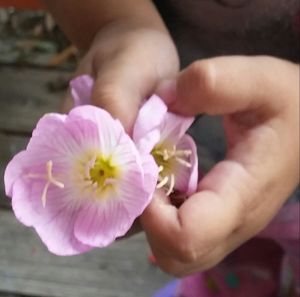 Close-up of woman holding pink flower