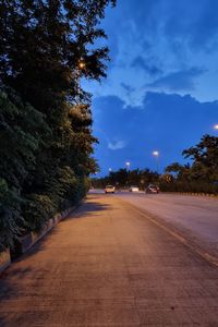 Empty road along trees and plants in city