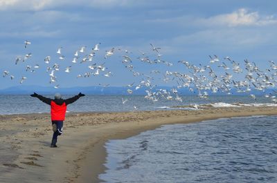 Rear view of young man with arms outstretched running towards birds flying over beach against sky