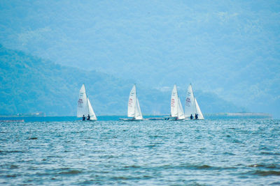 Sailboat sailing in sea against sky