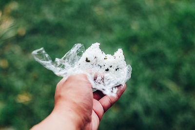 Personal perspective pov shot man holding rice ball against yard 