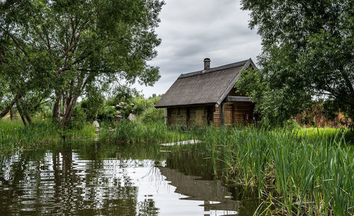 Plants and trees by lake against building