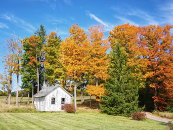 View of trees and cabin during autumn