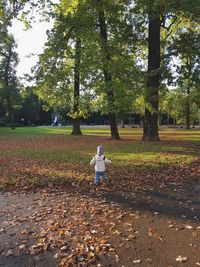 Boy standing in park during autumn