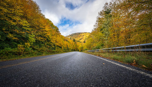 Road amidst trees against sky