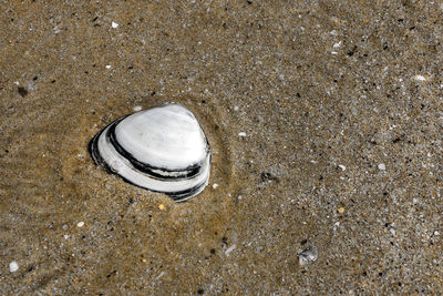 High angle view of sand on beach