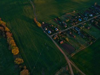 High angle view of agricultural field