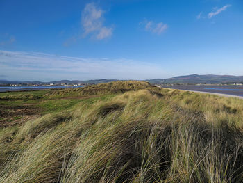 Scenic view of landscape against blue sky