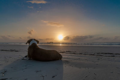 Scenic view of sea against sky during sunset