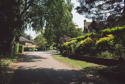 Road amidst trees and buildings against sky