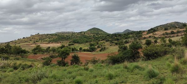 Scenic view of field against sky