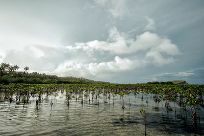 Scenic view of lake against sky