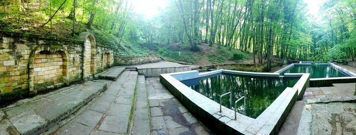 View of swimming pool in forest