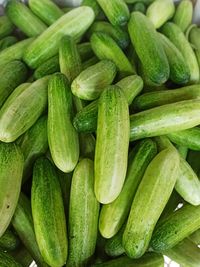 Full frame shot of cucumbers